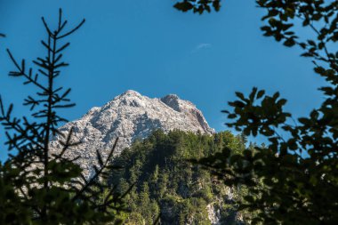 Büyük dağlar, yüksek ağaçlar, yeşil alanları ve ormanlar