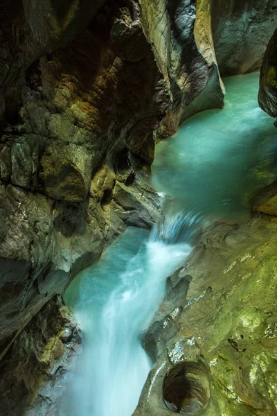 Vahşi creek, büyük kayalar ve ağaçlar Kanyon