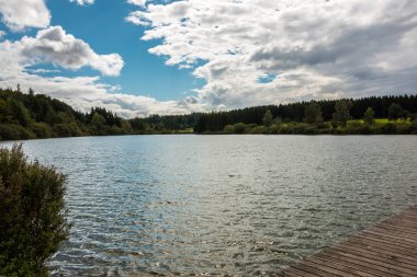 Su ve orman çevresinde yansımaları ile yalnız Gölü ve