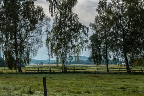 Groene velden, groene weiden, bomen, bossen en bewolkte hemel — Stockfoto
