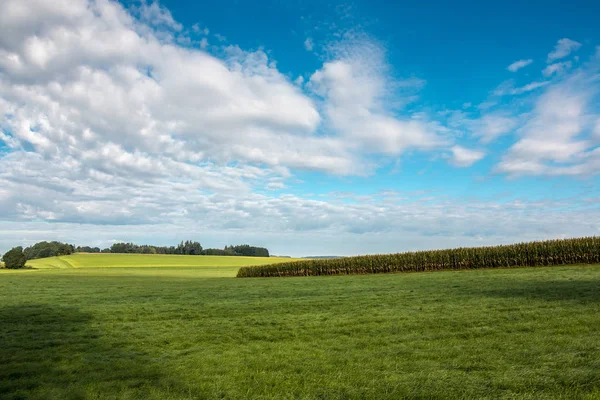 Grandes campos verdes de hierba y grano y cielo nublado — Foto de Stock