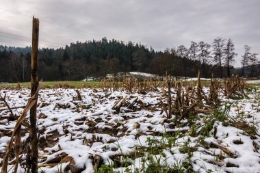 Hasat alan ve beyaz kar
