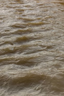 Yüksek gelgit su düzeyinde vahşi nehir