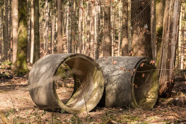 Ormanın ortasında büyük beton borular — Stok fotoğraf