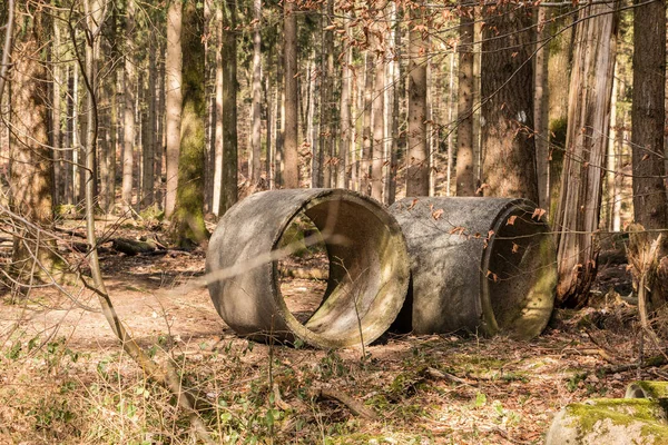 Ormanın ortasında büyük beton borular — Stok fotoğraf