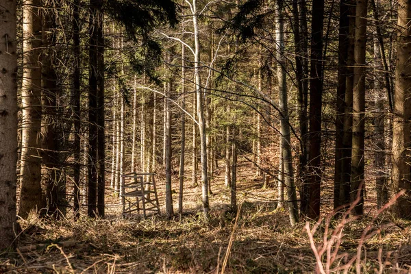 Verhoogde verbergen in het midden van het bos — Stockfoto