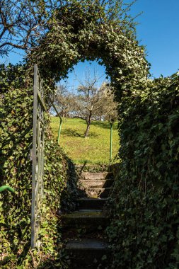 Bahçenin yeşil cennetine giriş