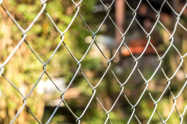 Yeşil bir bahçe çit