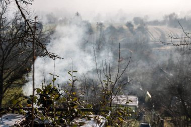 Bahçenin ortasında tüten fıçı.