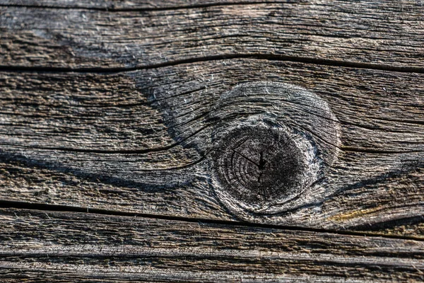 Knochenloch Auf Der Rückenlehne Einer Holzbank — Stockfoto