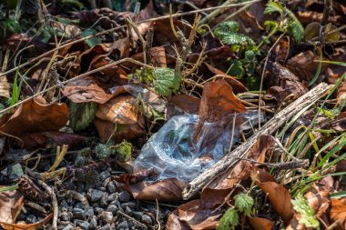 Plastik atıklar doğanın ortasına atılır.
