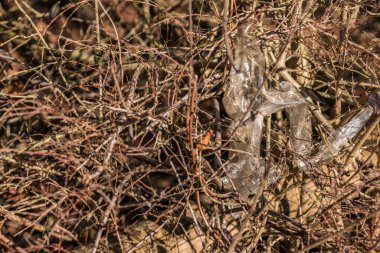 Plastik atıklar doğanın ortasına atılır.
