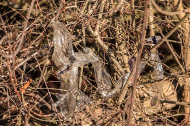 Plastik atıklar doğanın ortasına atılır.