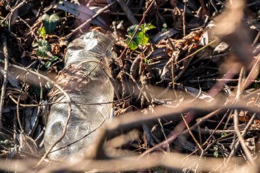 Plastik atıklar doğanın ortasına atılır.