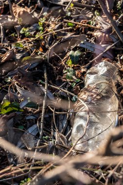 Plastik atıklar doğanın ortasına atılır.