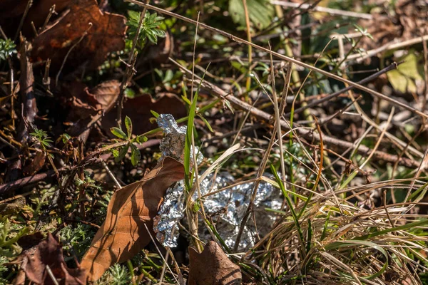 Пластиковые Отходы Выбрасываются Посреди Природы — стоковое фото