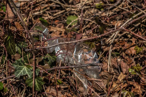 Residuos Plásticos Tirados Medio Naturaleza — Foto de Stock