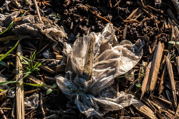 Limbah Plastik Dibuang Tengah Tengah Alam — Stok Foto