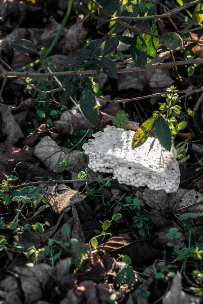 Residuos Plásticos Tirados Medio Naturaleza — Foto de Stock