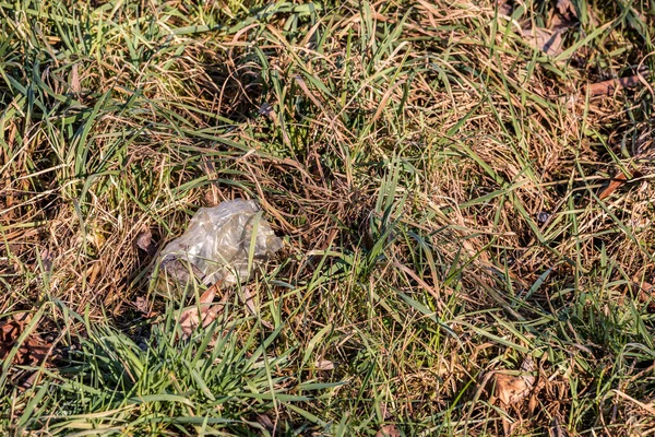 Plastik Atıklar Doğanın Ortasına Atılır — Stok fotoğraf