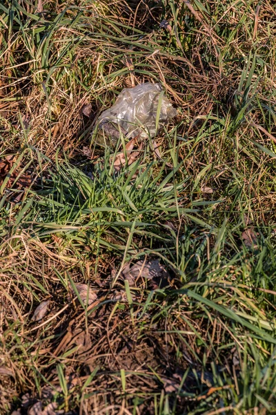 Déchets Plastiques Jetés Pleine Nature — Photo