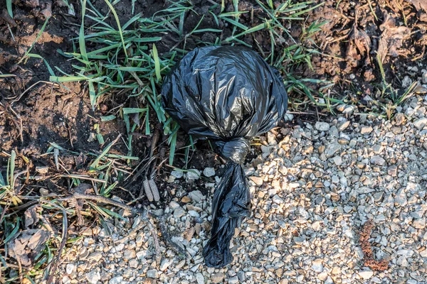 Dog waste bag thrown away in the middle of nature