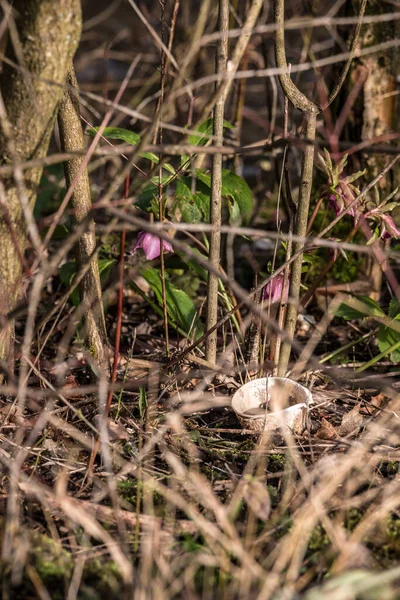 Déchets Plastiques Jetés Pleine Nature — Photo