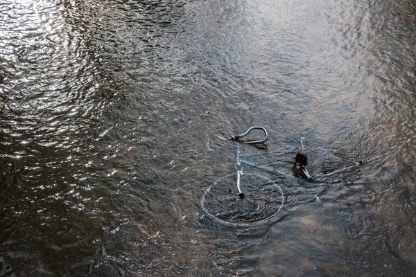 Χαλύβδινο Ποδήλατο Που Χαϊδεύεται Στο Ποτάμι Είναι Ρύπανση Για Περιβάλλον — Φωτογραφία Αρχείου