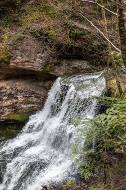 Yeşil ormanın ortasındaki kanyondan küçük bir şelale düştü.