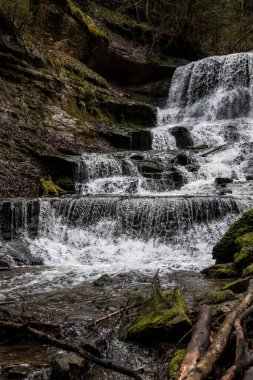 Yeşil ormanın ortasındaki kanyondan küçük bir şelale düştü.