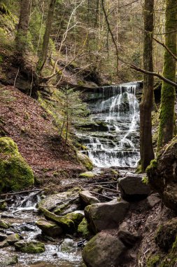 Yeşil ormanın ortasındaki kanyondan küçük bir şelale düştü.