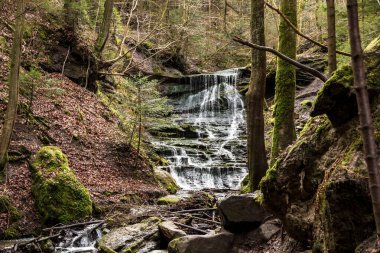Yeşil ormanın ortasındaki kanyondan küçük bir şelale düştü.