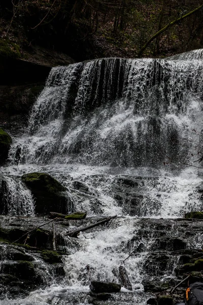 Pequena Cachoeira Desfiladeiro Meio Floresta Verde — Fotografia de Stock