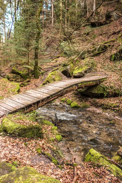 Yeşil ormanın ortasındaki vadiden geçen küçük bir köprü.