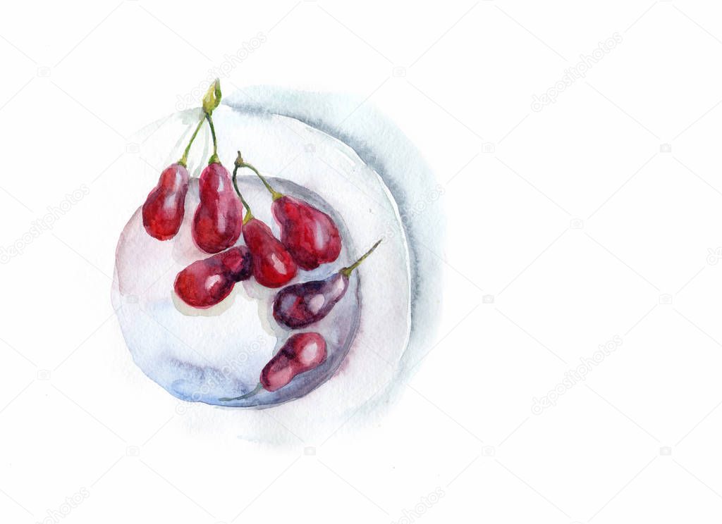 Plat of red berries watercolor
