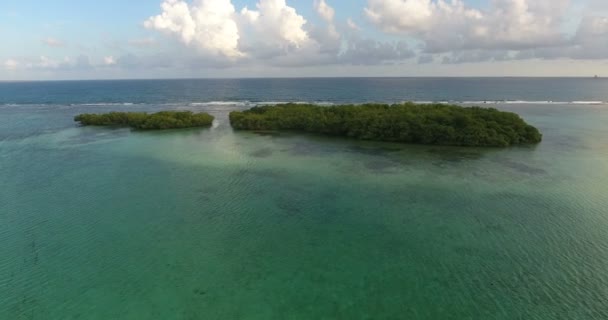 空中无人机鸟瞰视频在海浪和岩石, 绿松石水。热带天堂太平洋环礁群岛。顶部视图。4k 拍摄 — 图库视频影像