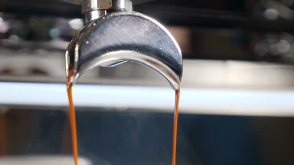 Kawiarnia. Dokonywanie świeża kawa wychodzi z ekspresem do kawy espresso. Zwolnionym tempie — Wideo stockowe