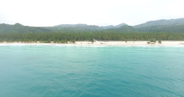 Aerial drone birds eye view video on sea waves and palm forest, turquoise water. islas atolón del Pacífico paraíso tropical. Vista superior, disparo en 4k — Vídeo de stock