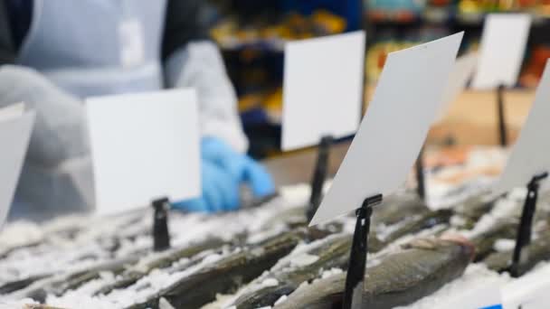 Variedad de peces de mar se encuentran en el mostrador de compras. Surtido de pescados frescos en pescadero. Pescado mediterráneo fresco en el estante de la tienda en el hielo, de cerca. Disparo en 4k — Vídeos de Stock