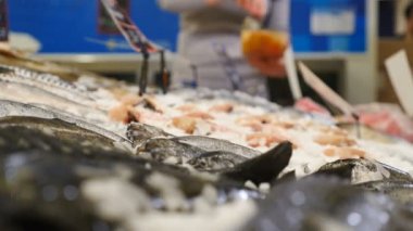 Balık pazarı konsepti. Market raflarından çekilen görüntülerde çiğ balıklar odaklanmış. Kapatın. Kadın elleri dikkatsiz bir şekilde taze istiridye ve deniz ürünleri seçiyor. 4K 'da çekilmiş.