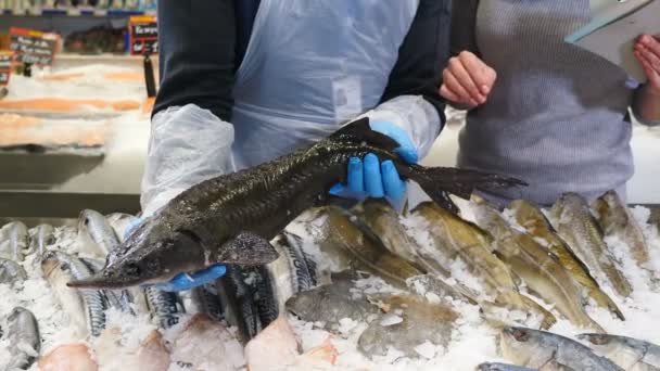 Departamento de peixe no supermercado. A cliente está a ser consultada pelo peixeiro. Especialista em comida de restaurante. Caro peixe sevruga. Variedade de peixes na prateleira do mercado. Tiros em 4K — Vídeo de Stock