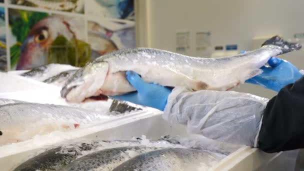 Vendedor en el mercado de pescado. El pescadero toma pescado crudo en manos que roban el hielo picado. Pescado mediterráneo fresco en el estante de la tienda en el hielo, surtido de peces frescos en pescadero. 4k — Vídeos de Stock