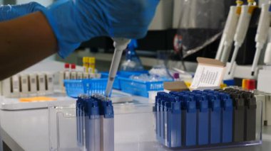 Genetik Araştırma için Modern Tıbbi Ekipman. Test tüpleri üzerinde çalışırken Micro Pipette kullanan mavi eldivenli ellerin yakın çekimi. Yenilikçi İlaç Laboratuvarı 'ndaki insanlar. 4K 'da çekilmiş.