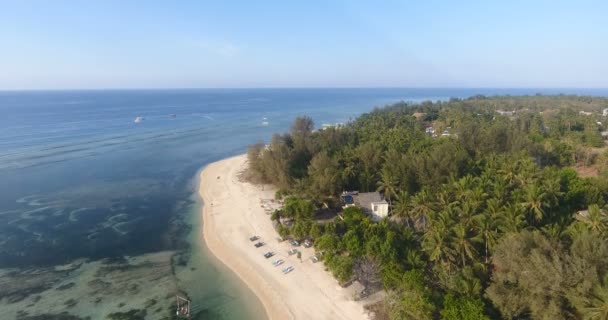 Hermosa toma aérea de bosque de palmeras verdes isla tropical en el océano Pacífico con salpicaduras de olas, Impresionante tiro de dron del paraíso pacífico. Disparo en 4k — Vídeos de Stock