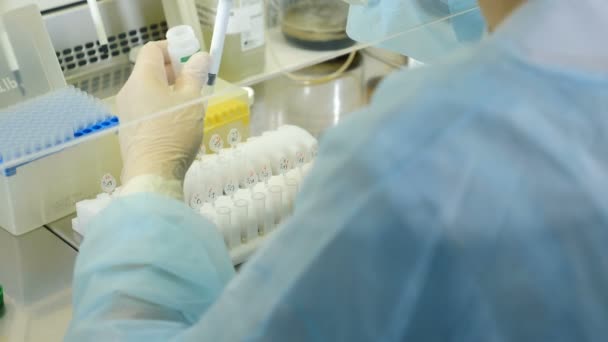 Laboratory worker in modern microbiology cabinet. Back view of female scientist in medical uniform in research laboratory. Close-up. Human analysis concept. 4 k footage — Stockvideo