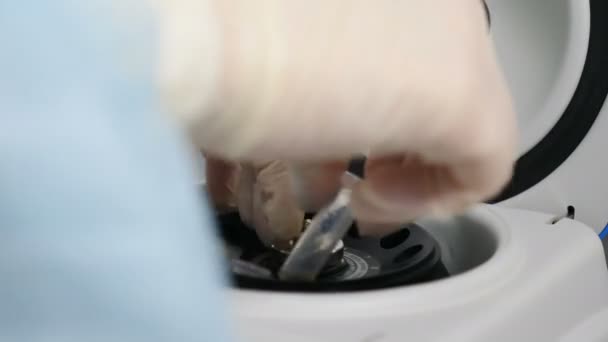 Images en gros plan d'une clinique médicale moderne et d'un scientifique mettant des échantillons de sang à analyser dans une centrifugeuse à sang. Travailleur de laboratoire dans une armoire de microbiologie moderne. Vidéo 4k — Video