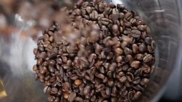 Beans of Coffee Raining in Slow Motion. Conceptual clip of coffee beans, close up. Coffee beans pouring into glass bowl on coffee machine. Top view. grinding machine. Full hd — ストック動画