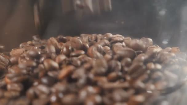 Feijões de café chovendo em câmera lenta. Clipe conceitual de grãos de café, de perto. Grãos de café derramando em tigela de vidro na máquina de café. Vista lateral. máquina de moagem. hd completo — Vídeo de Stock
