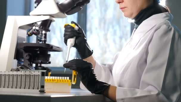 Primer plano de mano femenina de investigador en guante usando micro pipeta mientras trabaja con tubos de ensayo. Personas en Laboratorio Farmacéutico Innovador con Equipo Médico Moderno para Genética — Vídeo de stock