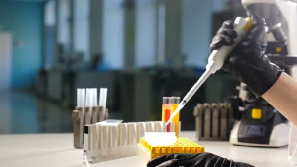 Laboratuvar test plakası. Dişi araştırmacı, kuyu mikro plakası içinde pipetler. Kan ya da DNA testi. Kanser ya da virüs testi. Laboratuvarda araştırma yapan bir bilim adamı. Salgın tehlikesi var. 4k video — Stok video